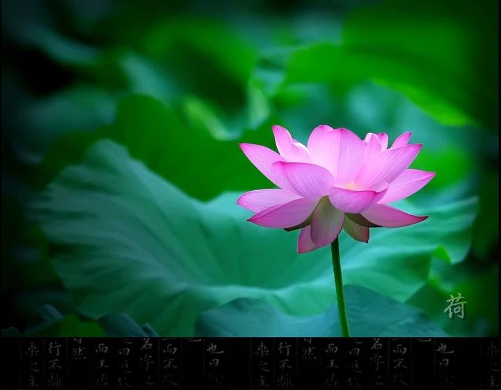 1614405232201083.jpg 20181113095802375.jpg