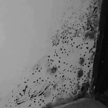 1621063244259579.png QQ截圖20210515152213.png